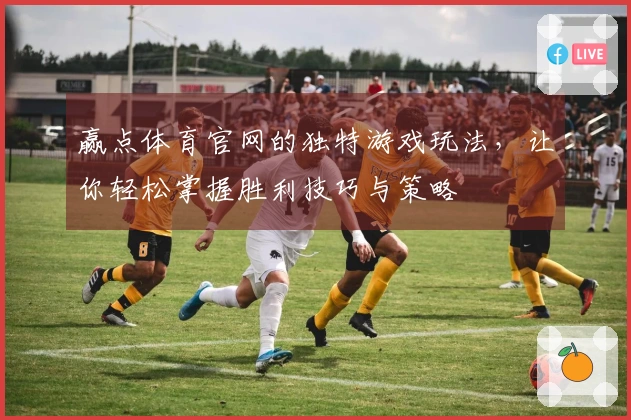 赢点体育官网的独特游戏玩法，让你轻松掌握胜利技巧与策略